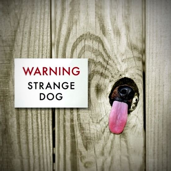 Sign says - Warning - Strange Dog