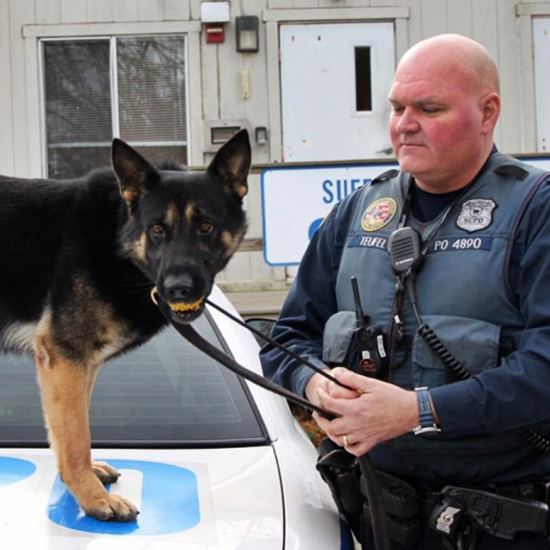 Police k-9 with handler
