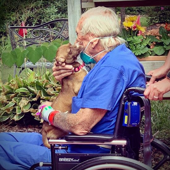 Senior veteran hugs a little dog