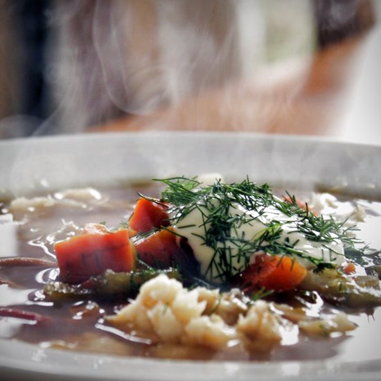 Delicious stew with carrots and meat and dill