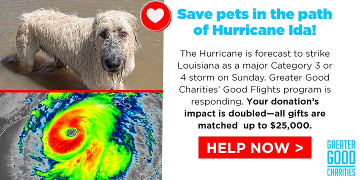 Good Flights Emergency Transport: Hurricane Ida