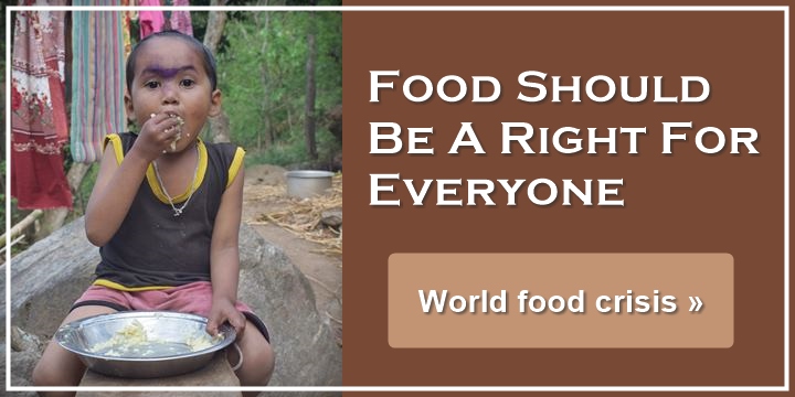 Food Should Be A Right For Everyone - World food crisis