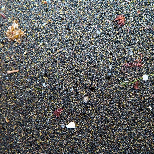 Siblings Fight Plastic Pollution