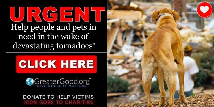 URGENT - Help people and pets in need in the wake of devastating tornadoes