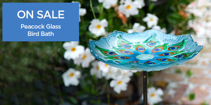 Peacock Glass Bird Bath