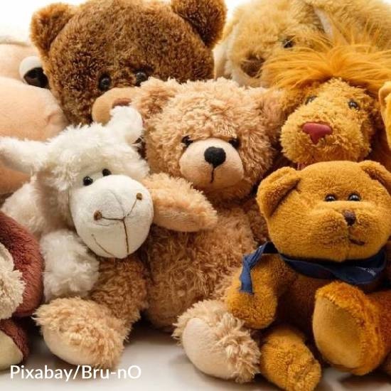 Judge Allows Boy to Adopt Teddy Bears