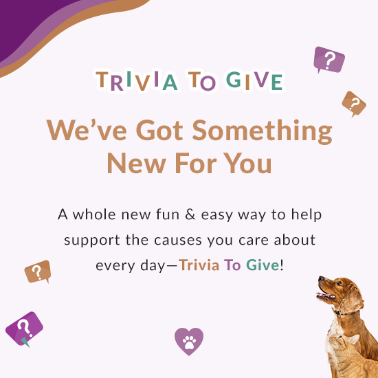 The Animal Rescue Site Click to Feed Rescue Animals