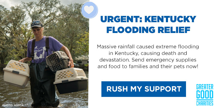 Kentucky Flooding: Send Aid Now