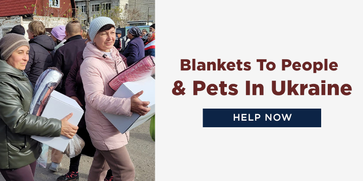 You can help provide a bit of warmth and comfort to those in need.