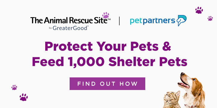 Protect Your Pet & Feed Animals in Need!