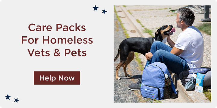 Help our Valiant Veterans!