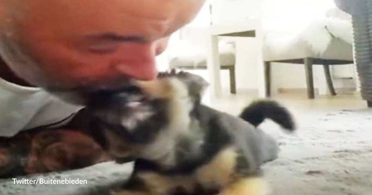 Puppy Crawls Over to Kiss Human