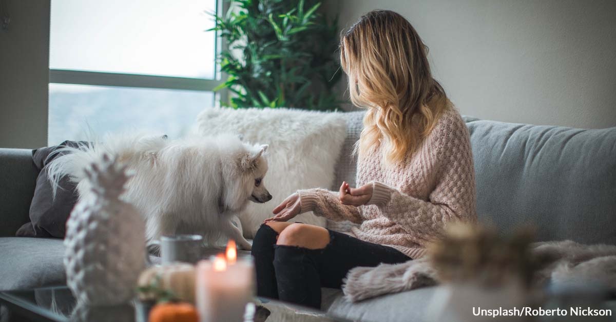 How Did You Choose Your Pet?