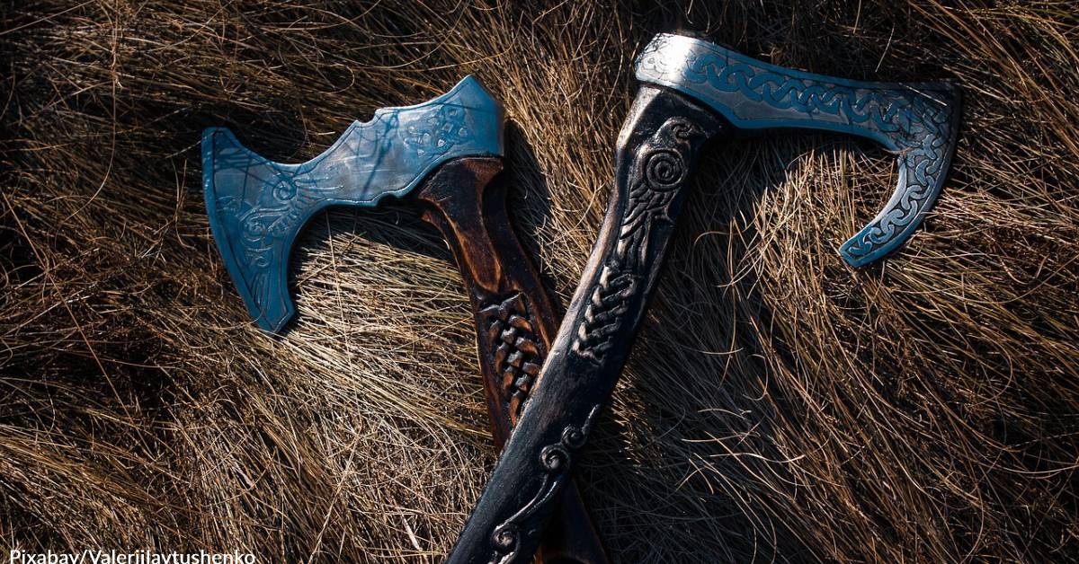 Vikings Sailed with Their Dogs