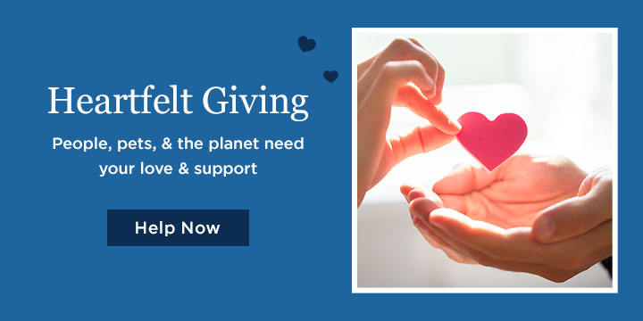 Share the love with a Gift that Gives More!