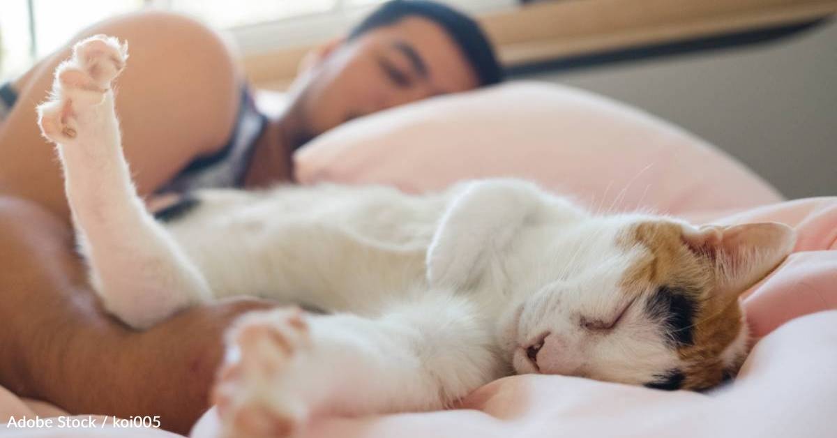 Pet Ownership May Impact Sleep Quality