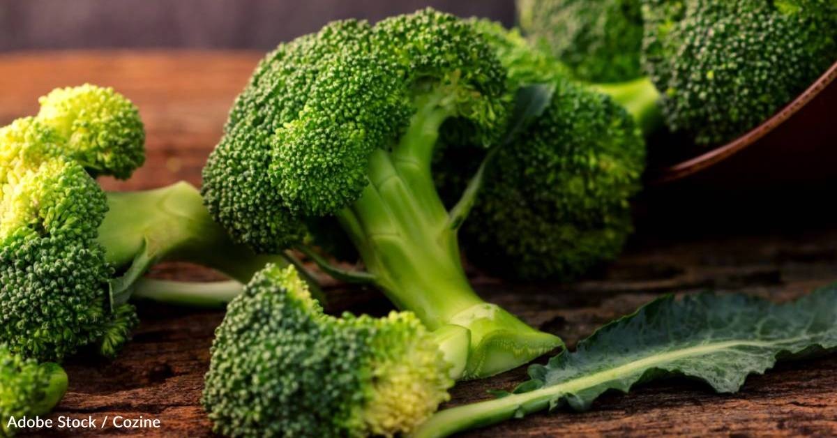 Broccoli May Protect Our Gut Health