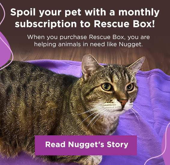 The Animal Rescue Site Click to Feed Rescue Animals