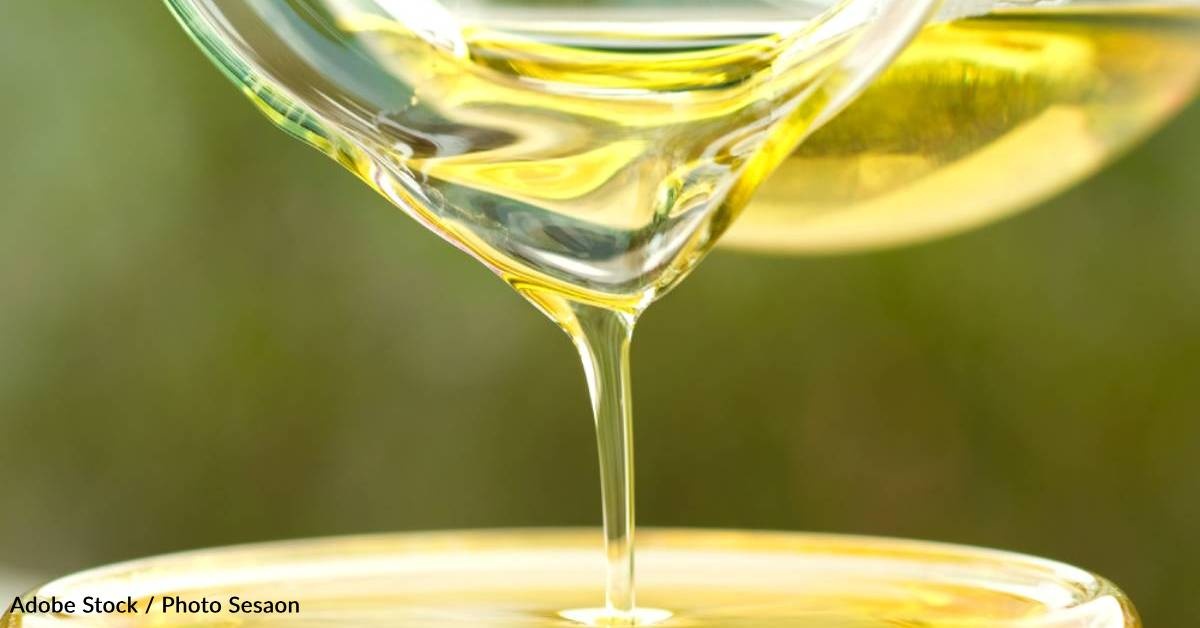A Touch of Olive Oil Boosts Brain Health