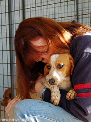 Bryna Donnelly cuddling an adorable beagle in a kennel