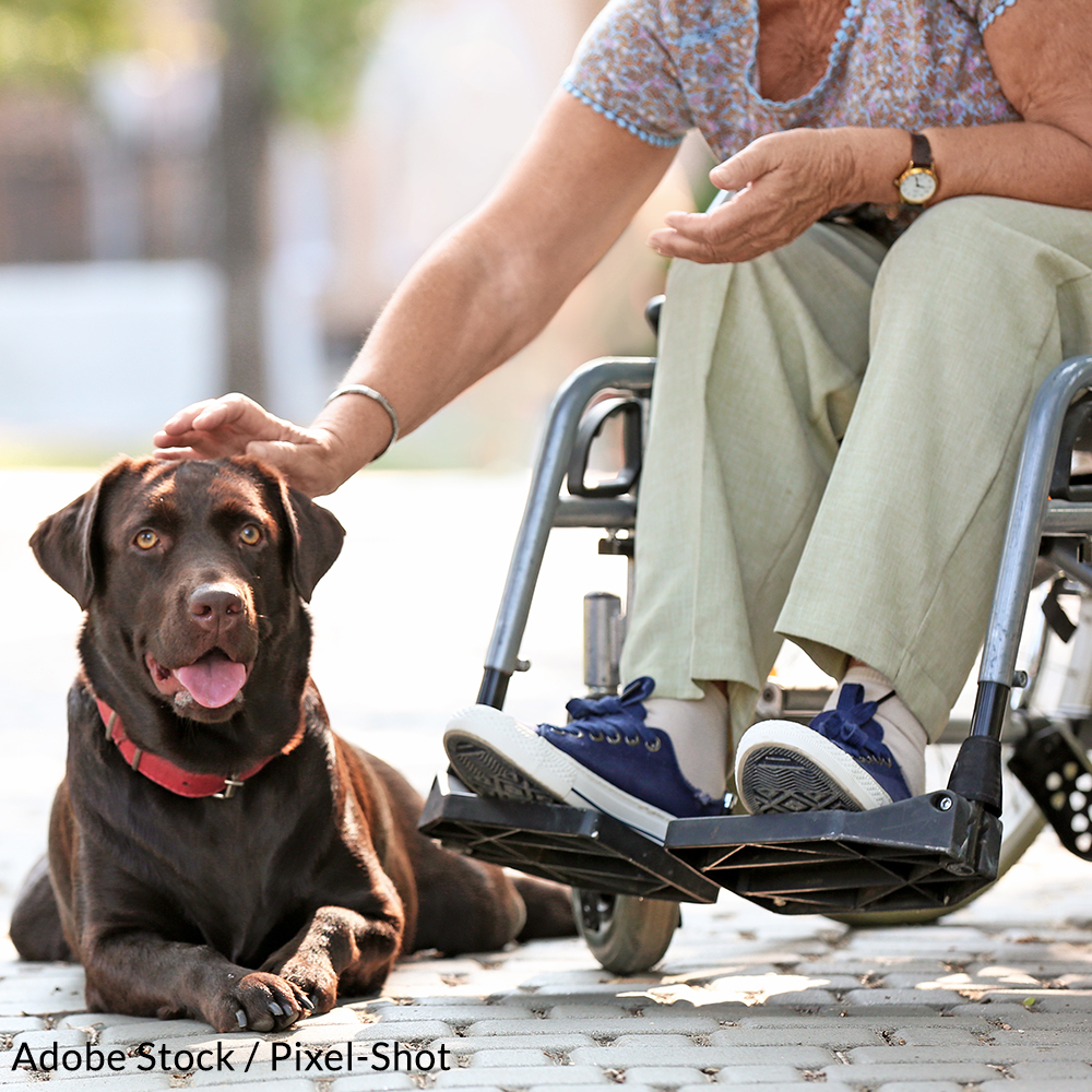 Assistance dogs are trained to provide critical help to their handlers. Take the pledge to respect their space!