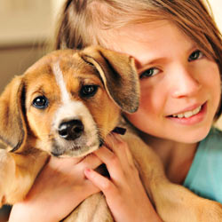 Thank the Humane Society for helping to cut out the puppy mill middleman.