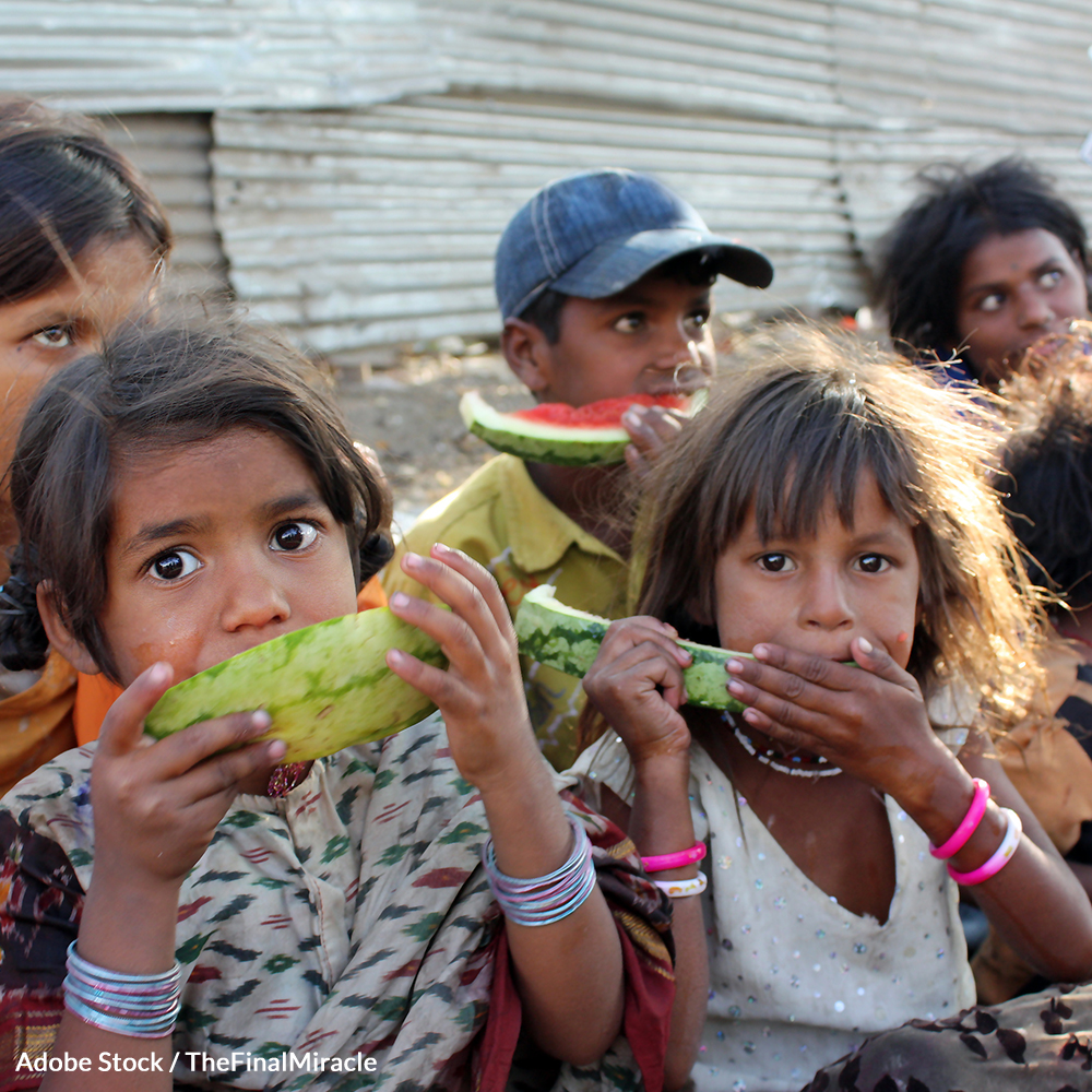 It's time to change the way we look at food production and distribution. Support an inalienable right to food for all humans!