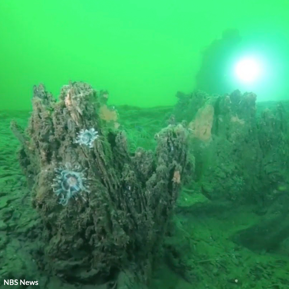 What's been hidden and protected for 60,000 years could be destroyed in just a few.
