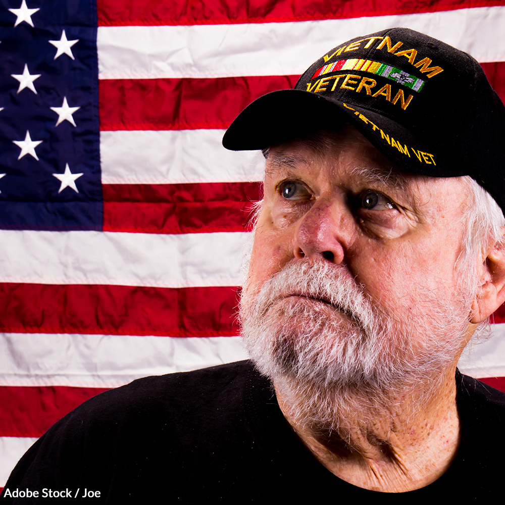 Sign the Pledge to Honor Our Vietnam Veterans