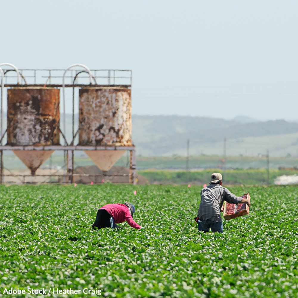 Protect Farmworkers From Extreme Heat And Climate Change