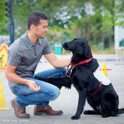 These dogs can save lives, but prohibitive costs keep many from acquiring them. Insurance companies should cover them!