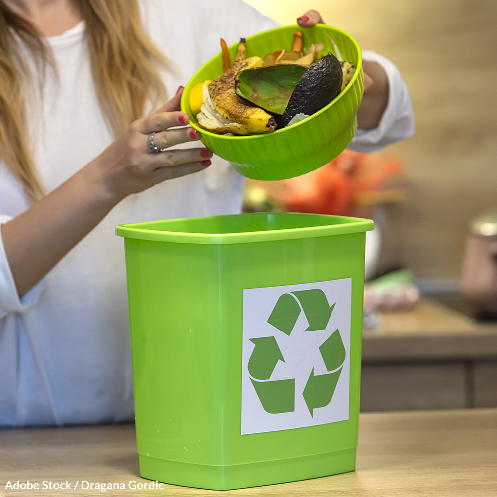 Make Composting as Common as Trash Pick-Up!