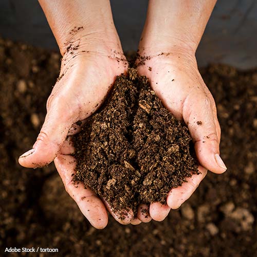 Tell the EPA Act to spearhead mandatory collection of compostable materials across the U.S.A.!