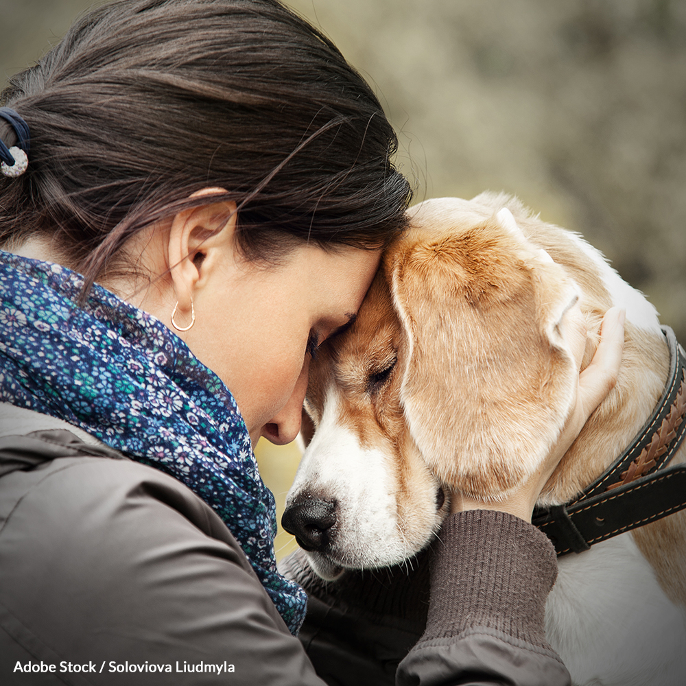 pet foreclosure 1000x1000 petition - Pets Are Abandoned During Foreclosures At A Staggering Rate