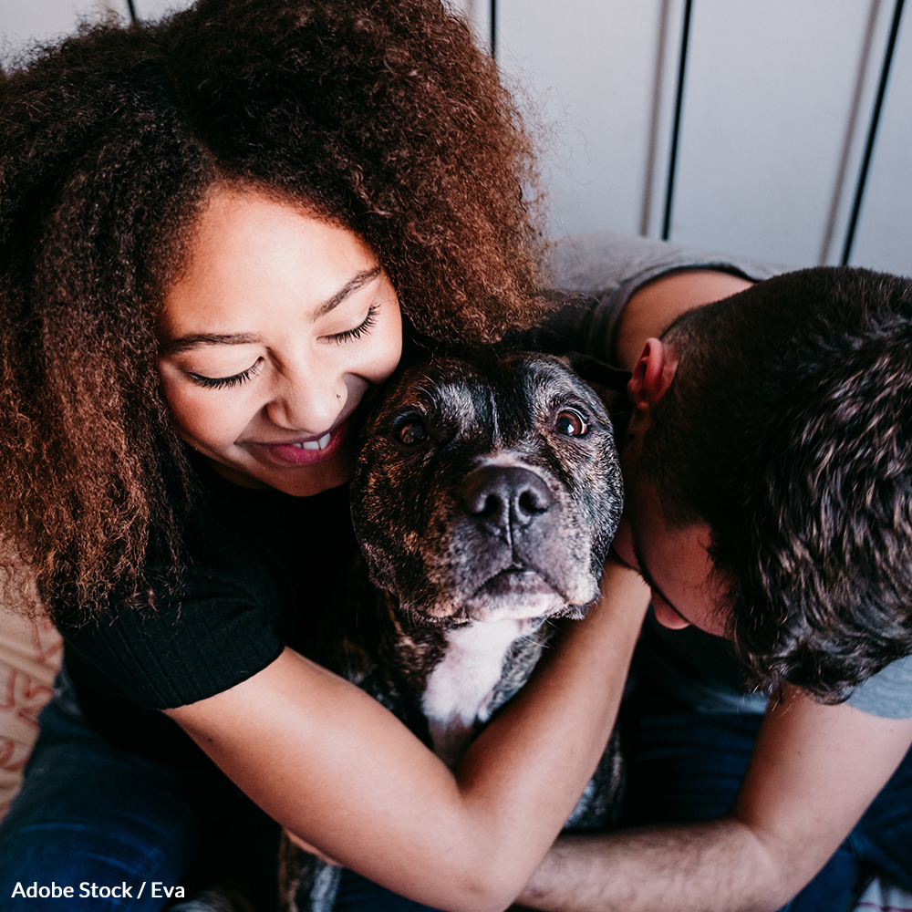 Assumptions about breed behaviors have lead to restrictive housing policies. Help us take a stand for pets and their families!