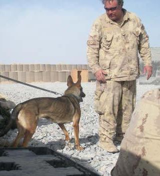 Wayne T. "The Bombdog" Bernhardt