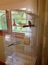 Survivor ! @ The Animal Rescue Site