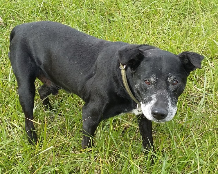 14 years old & at a shelter