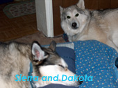 Sierra and Dakota - I couldn't be without them