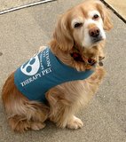 Holly-Pup ... rescued ... Now a therapy Dog!