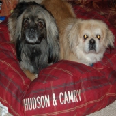 Hudson and Camry... The perfect pair.