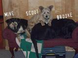 Mike, Scout & Brooke