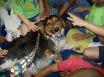 Death Row Rescue Becomes Humane Education Dog