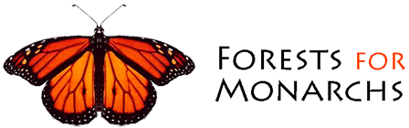 Forest For Monarchs